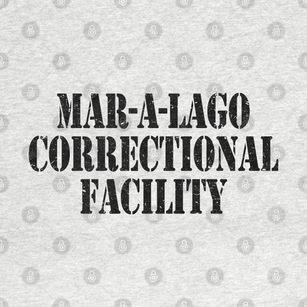 Mar a Lago Correctional Facility by Etopix